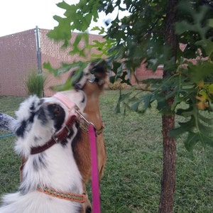 Debra ha aggiunto una foto del proprio acquisto