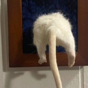 cindy added a photo of their purchase