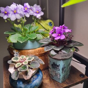 Joann added a photo of their purchase