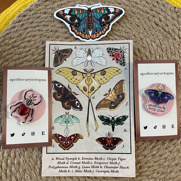 Pride Insects Pride Moth Pin (sexualities) | Acrylic Pin | Moth Pins | Insect Art ...