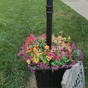 Tami added a photo of their purchase