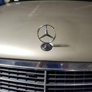 Vladimir added a photo of their purchase