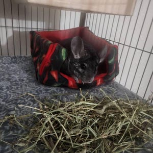 Hilda added a photo of their purchase