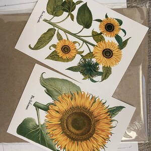Comprador de Etsy ha añadido una foto de su compra