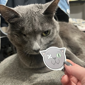 Kathryn added a photo of their purchase