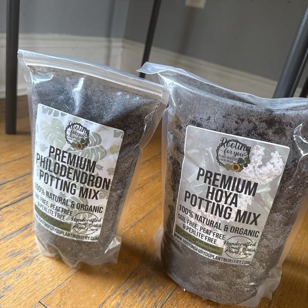 HYDRANGEA Premium Soil Less Potting Mix Oregon Licensed Nursery - - Etsy