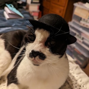 Megumi hat ein Foto des gekauften Artikels hinzugefügt