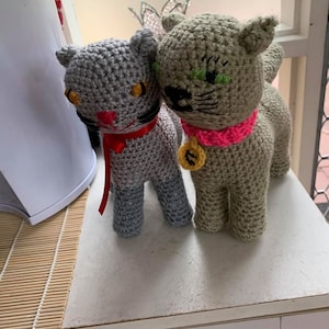 Isabella added a photo of their purchase