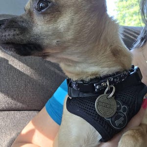 Tracy added a photo of their purchase