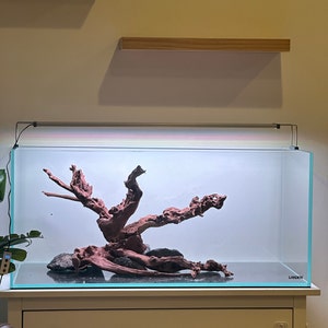 Cameron added a photo of their purchase