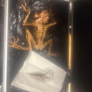 Jordan added a photo of their purchase