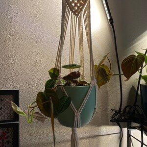 Rachel added a photo of their purchase