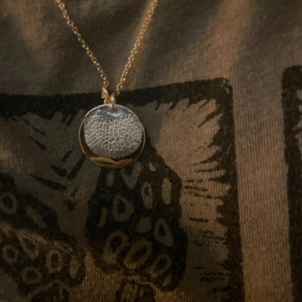 Toe Bean Your Pup s Own Paw Print Cast In Solid 14 Karat Gold Or toe-bean-your-pup-s-own-paw-print-cast-in-solid-14-karat-gold-or