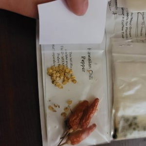 Kristina heeft een foto van de aankoop toegevoegd