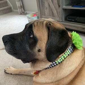 Becca added a photo of their purchase