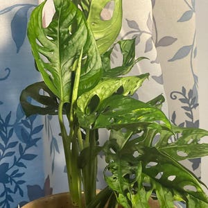pam added a photo of their purchase