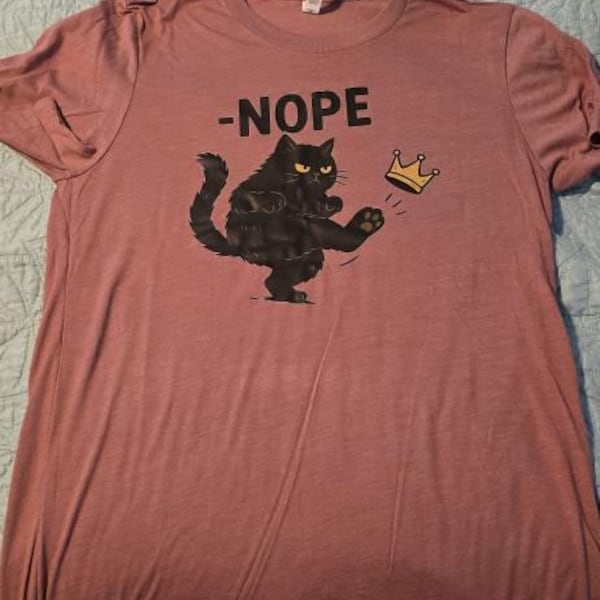 Street photo: hoodie with Constitution-style graphic, chest print visible