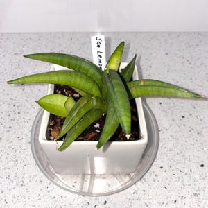 Alcak added a photo of their purchase