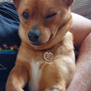 Sara ha añadido una foto de su compra