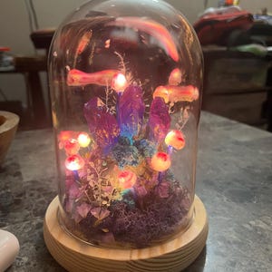 Malinda added a photo of their purchase