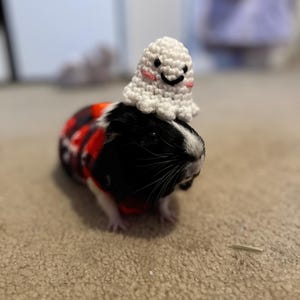 Kelly ha añadido una foto de su compra