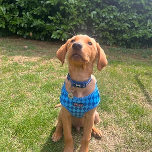 Jill added a photo of their purchase