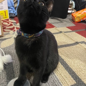 Boujee added a photo of their purchase