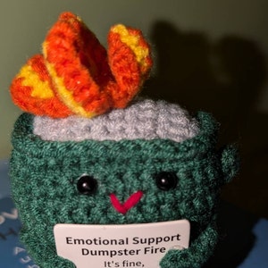 Emils added a photo of their purchase
