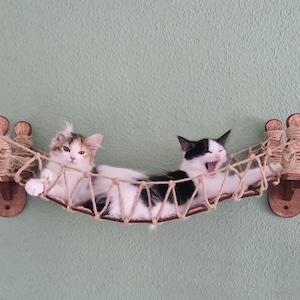 Angela added a photo of their purchase