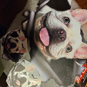 Sue added a photo of their purchase