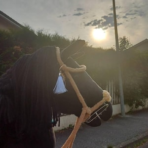 Horsing added a photo of their purchase
