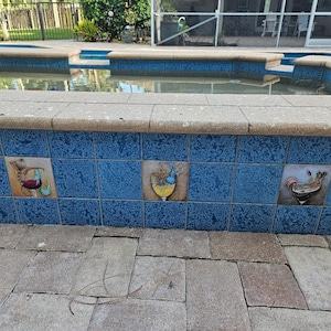 Michael added a photo of their purchase