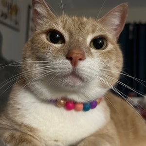 Holly added a photo of their purchase