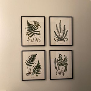 Michele ha añadido una foto de su compra