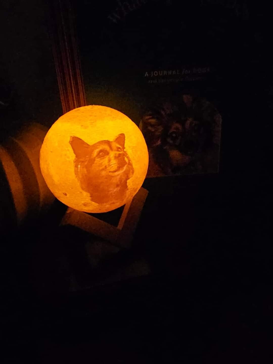 Personalized 3d Photo printed Lunar night Moon Lamp, Custom Photo Lunar Moon Lamp Night Light, Bedside lamp, Couples Gifts,Christmas Gift