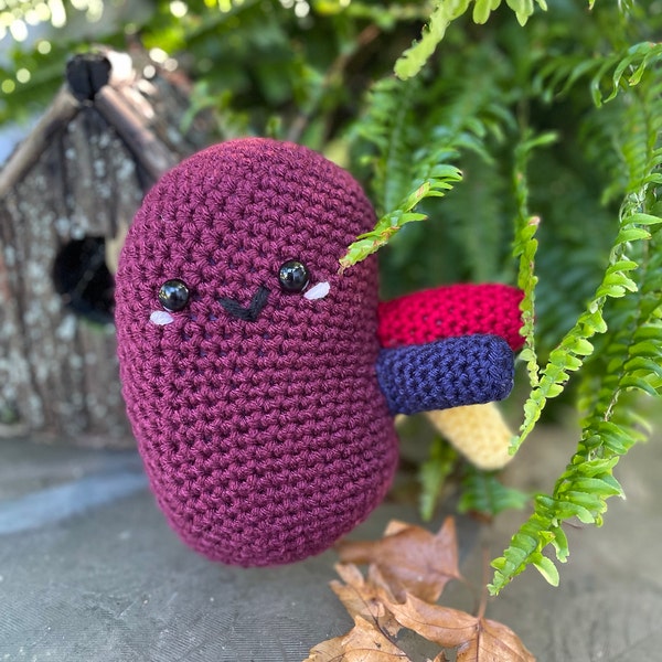 Free Crochet Kidney Pattern Anatomical Kidney Crochet Pattern! PATTERN ONLY Instant DOWNLOAD ...