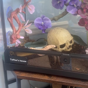 amber added a photo of their purchase