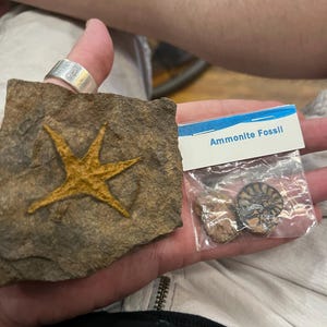 Jason added a photo of their purchase