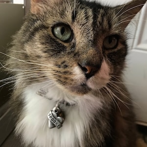 pom added a photo of their purchase