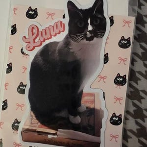 Aline さんが購入した商品の写真を追加しました