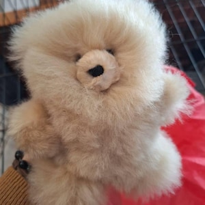 TheSkyBecomestheSea added a photo of their purchase