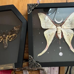 Michelle added a photo of their purchase