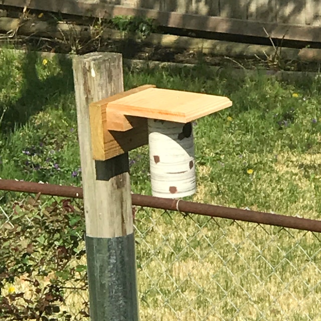 BodaciousBirdDigs - Etsy