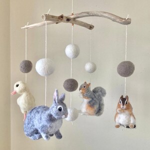 Kelly added a photo of their purchase