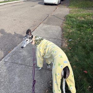 Erica added a photo of their purchase
