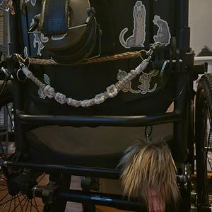 Matteo heeft een foto van zijn/haar aankoop toegevoegd