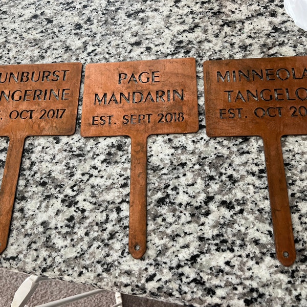 Set of 6 Rusted Metal Plant Markers