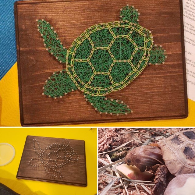 Sea Turtle String Art Kit - Etsy
