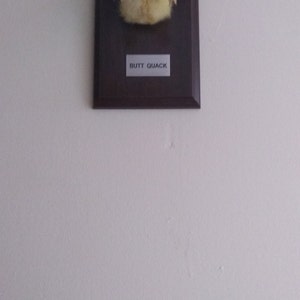 Heather ha añadido una foto de su compra