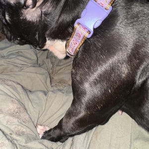 Elena ha añadido una foto de su compra